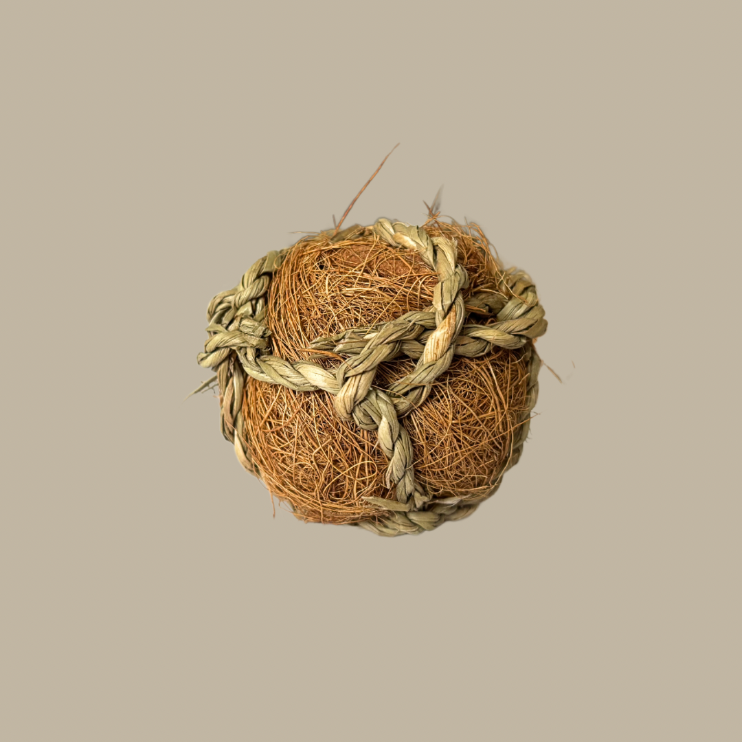 Kokosball